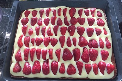 Erdbeerkuchen mit Vanillepudding 21