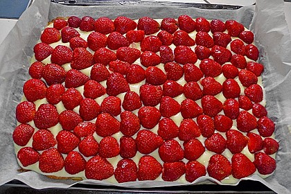 Erdbeerkuchen mit Vanillepudding 9
