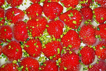 Erdbeerkuchen mit Vanillepudding 1