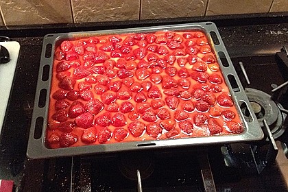 Erdbeerkuchen mit Vanillepudding 29