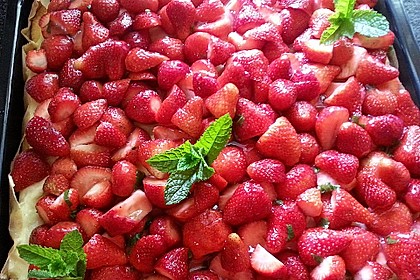 Erdbeerkuchen mit Vanillepudding 19