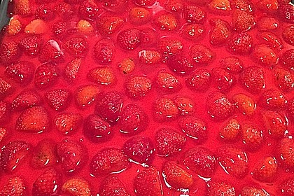 Erdbeerkuchen mit Vanillepudding 12
