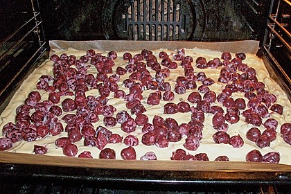 Kirsch - Eierlikör - Blechkuchen mit Schmand - Sahne 71