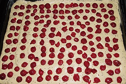 Kirsch - Eierlikör - Blechkuchen mit Schmand - Sahne 76