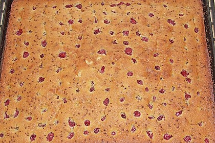Kirsch - Eierlikör - Blechkuchen mit Schmand - Sahne 70