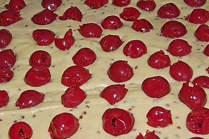 Kirsch - Eierlikör - Blechkuchen mit Schmand - Sahne 45