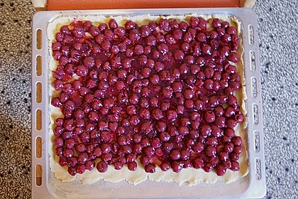 Kirsch - Streusel - Kuchen 2