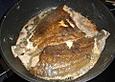 Seezunge oder Scholle gebraten