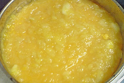 Illes schneller Apfelkuchen mit dem 5-4-3-2-1 Boden 8