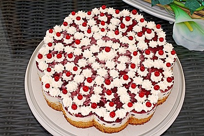Johannisbeer - Joghurt - Torte 5