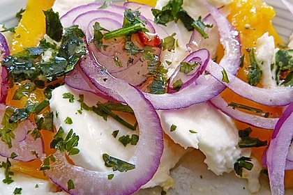 Büffelmozzarella mit Mangoscheiben und fruchtigem Dressing 11
