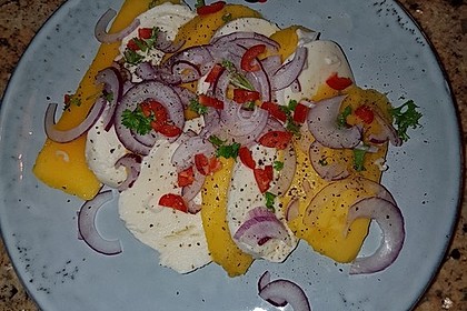 Büffelmozzarella mit Mangoscheiben und fruchtigem Dressing 19