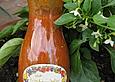 Hot Zucchini - Salsa