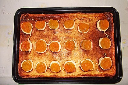 Käsekuchen bzw. Quarkkuchen 63