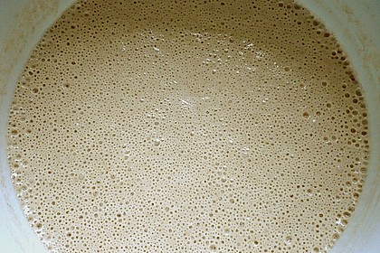 Sauerteig 40