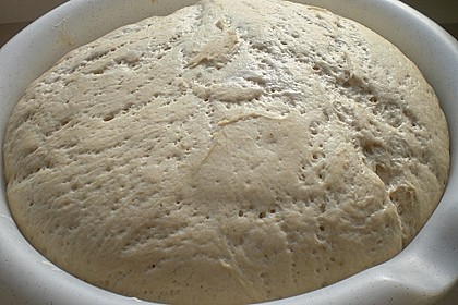 Sauerteig 13
