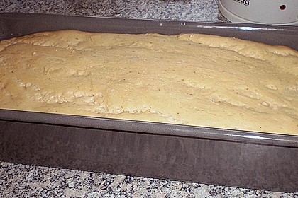 Sauerteig 71