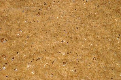 Sauerteig 41