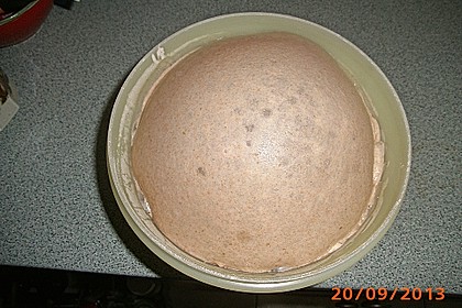 Sauerteig 52
