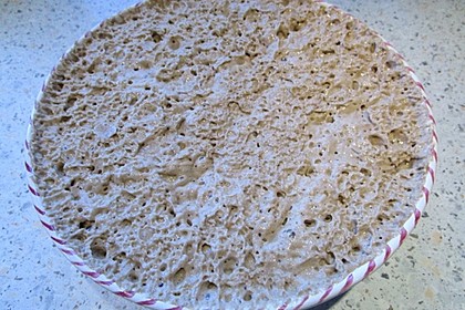 Sauerteig 30