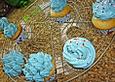 Swimmingpool - Cupcakes