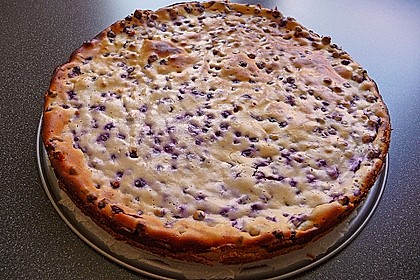 Blaubeer Tarte 15