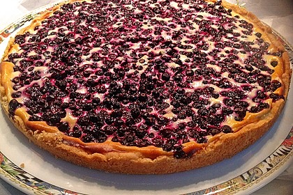 Blaubeer Tarte 27
