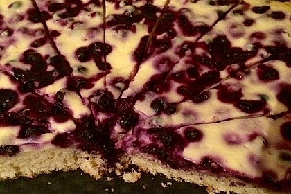 Blaubeer Tarte 69