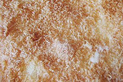 Buttermilchkuchen mit Kokos 3