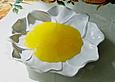 Tropic Marmelade