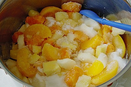 Tropic Marmelade 1