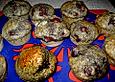 Mohn - Kirsch - Muffins