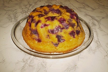 Heidelbeer - Joghurt - Gugelhupf 19