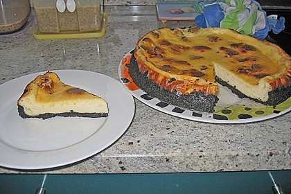 Oreo - Cheesecake 18