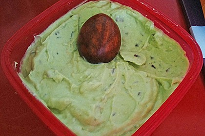 Guacamole 17