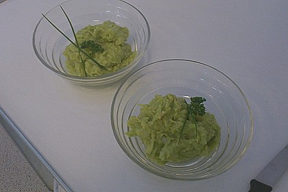 Guacamole 16