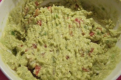 Guacamole 15