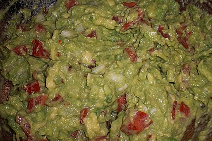 Guacamole 13