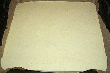 Kokos - Buttermilch - Blechkuchen 1