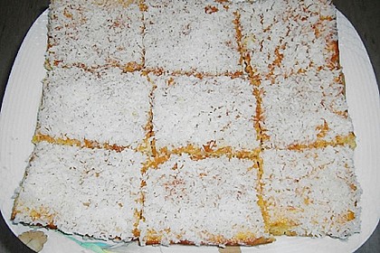 Kokos - Buttermilch - Blechkuchen 2