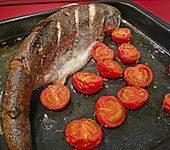 Mediterrane Lachsforelle (Bild)