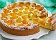 Topfenkuchen mit Marillen