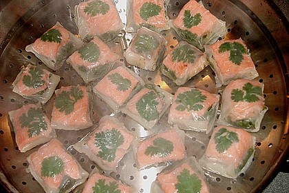 Lachs - P&auml;ckchen mit Asien - Pesto
