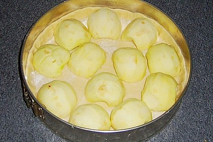 Apfelkuchen 3