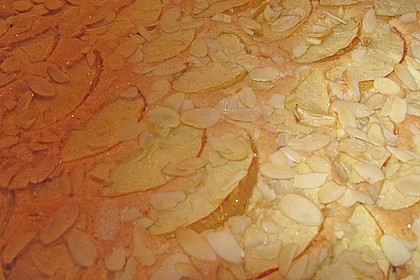 Apfelkuchen ohne Fett 2