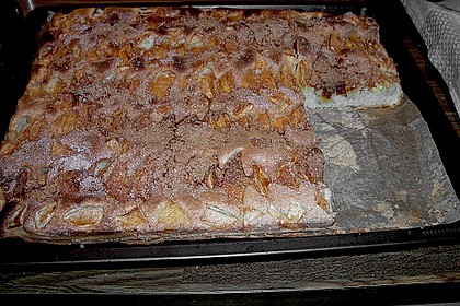 Apfelkuchen ohne Fett 3