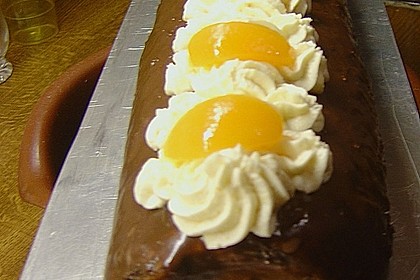 Wachauer Marillen - Schoko - Roulade 2