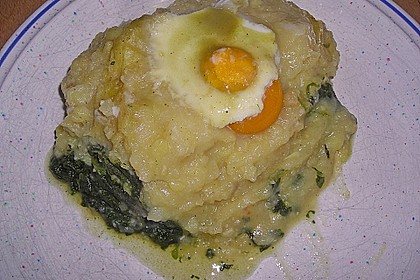 Spinatauflauf 6