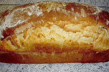 Goldener Toast 93