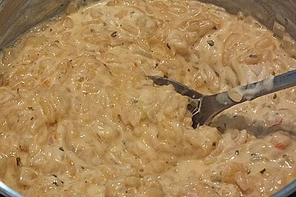 Fenchel - Risotto 19